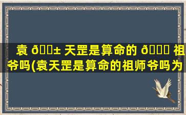 袁 🐱 天罡是算命的 🐛 祖师爷吗(袁天罡是算命的祖师爷吗为什么)